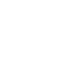 Logo_Braswell.png